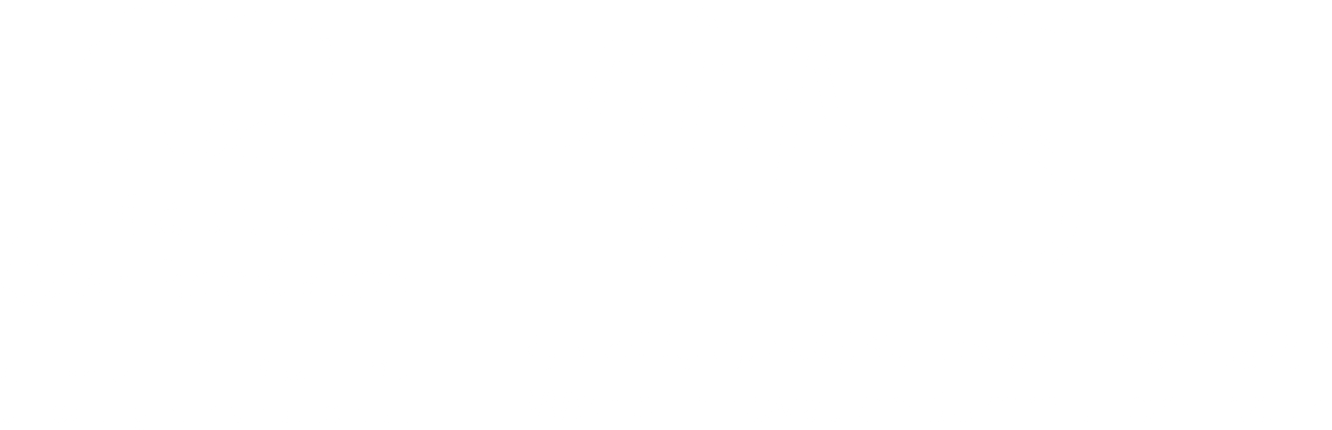 wish logo