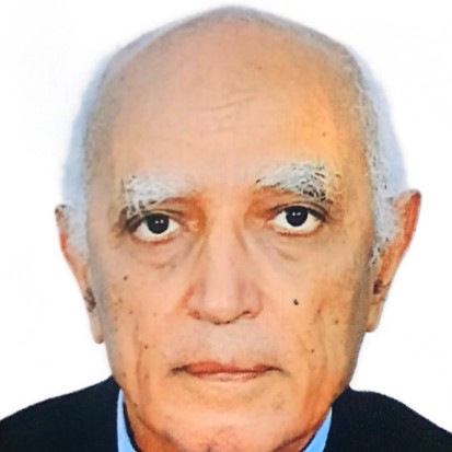 Professor	Gamal Ibrahim Serour